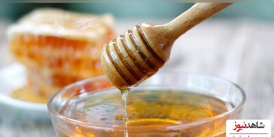 Why You Should Consider Adding Honey to Your Daily Routine?