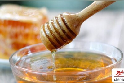 Why You Should Consider Adding Honey to Your Daily Routine?