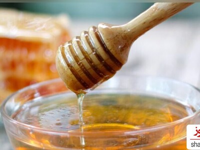 Why You Should Consider Adding Honey to Your Daily Routine?