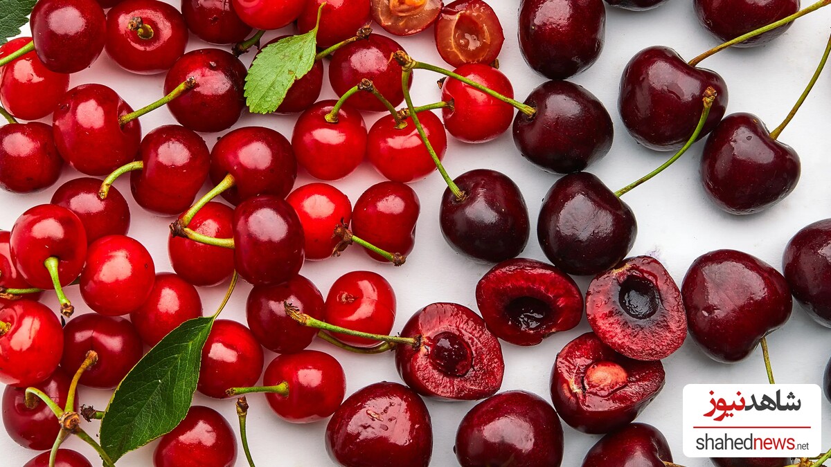 Sour Cherries